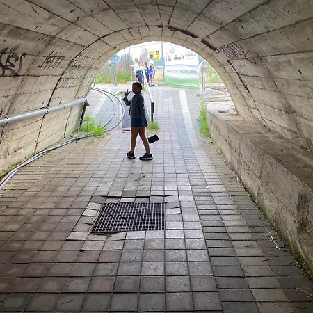 Zlatiborska Prirodna Idila *