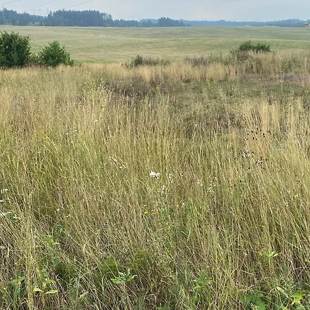 Zlatiborska Prirodna Idila Zlatibor