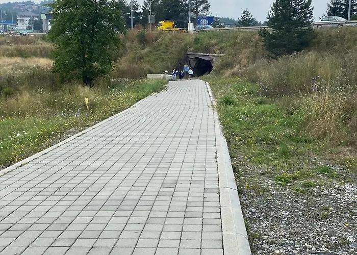 公寓 Zlatiborska Prirodna Idila *