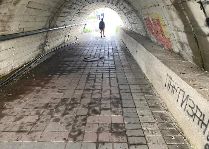 公寓 Zlatiborska Prirodna Idila *