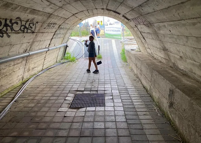 Zlatiborska Prirodna Idila *