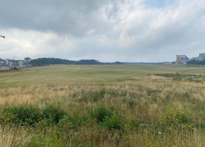 Zlatiborska Prirodna Idila 公寓 *