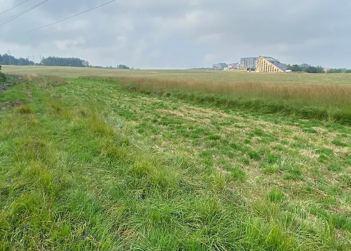 Zlatiborska Prirodna Idila 公寓 兹拉蒂博尔