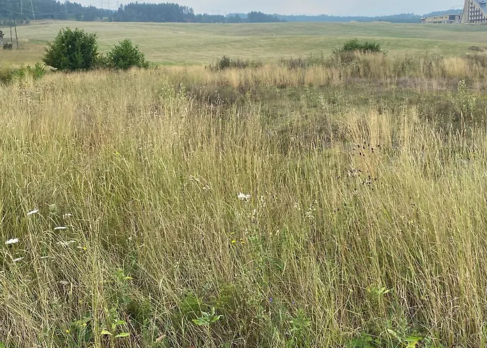 Zlatiborska Prirodna Idila 兹拉蒂博尔