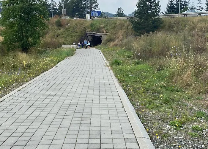 Zlatiborska Prirodna Idila 公寓